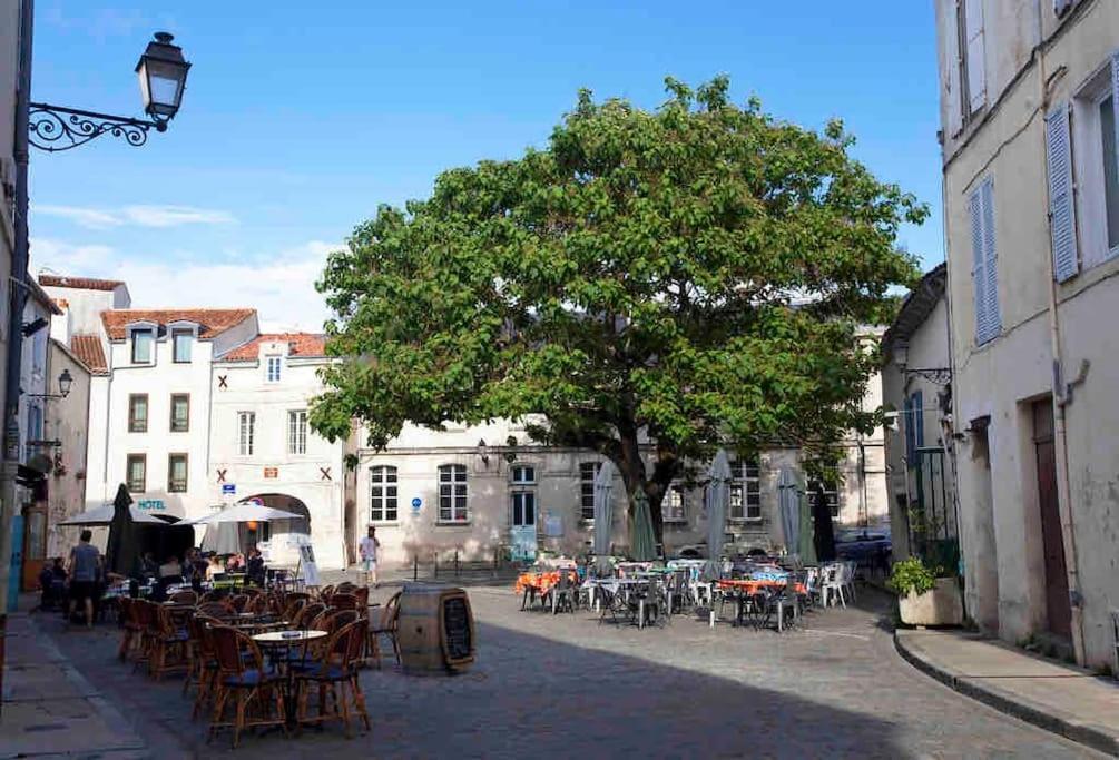 Apartment Bel T2 Lumineux Avec Terrasse Hyper Centre. La Rochelle (Charente-Maritime)